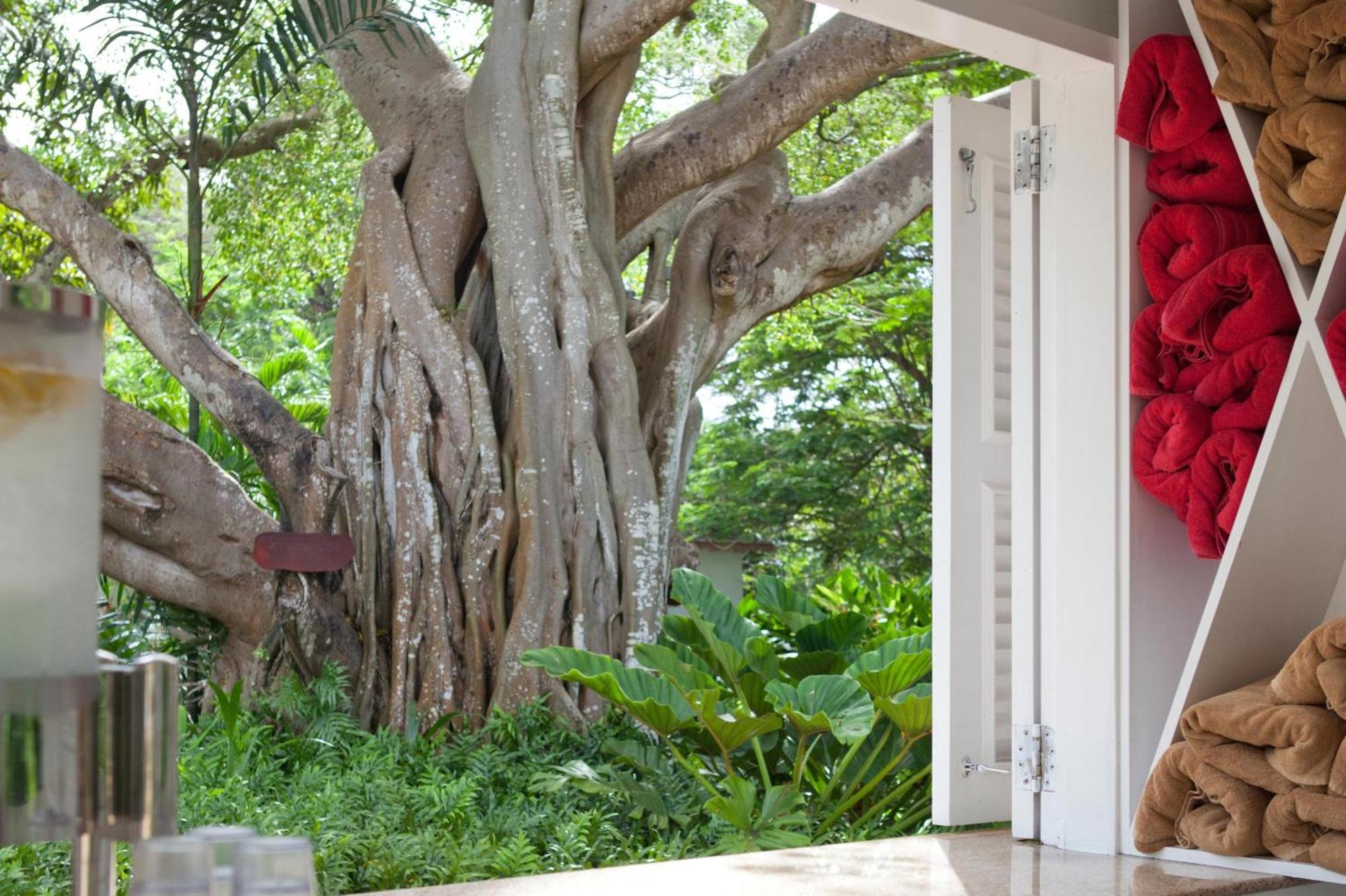 Colony Club By Elegant Hotels Saint James Bagian luar foto